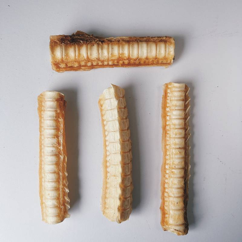 Joint & Bone Health